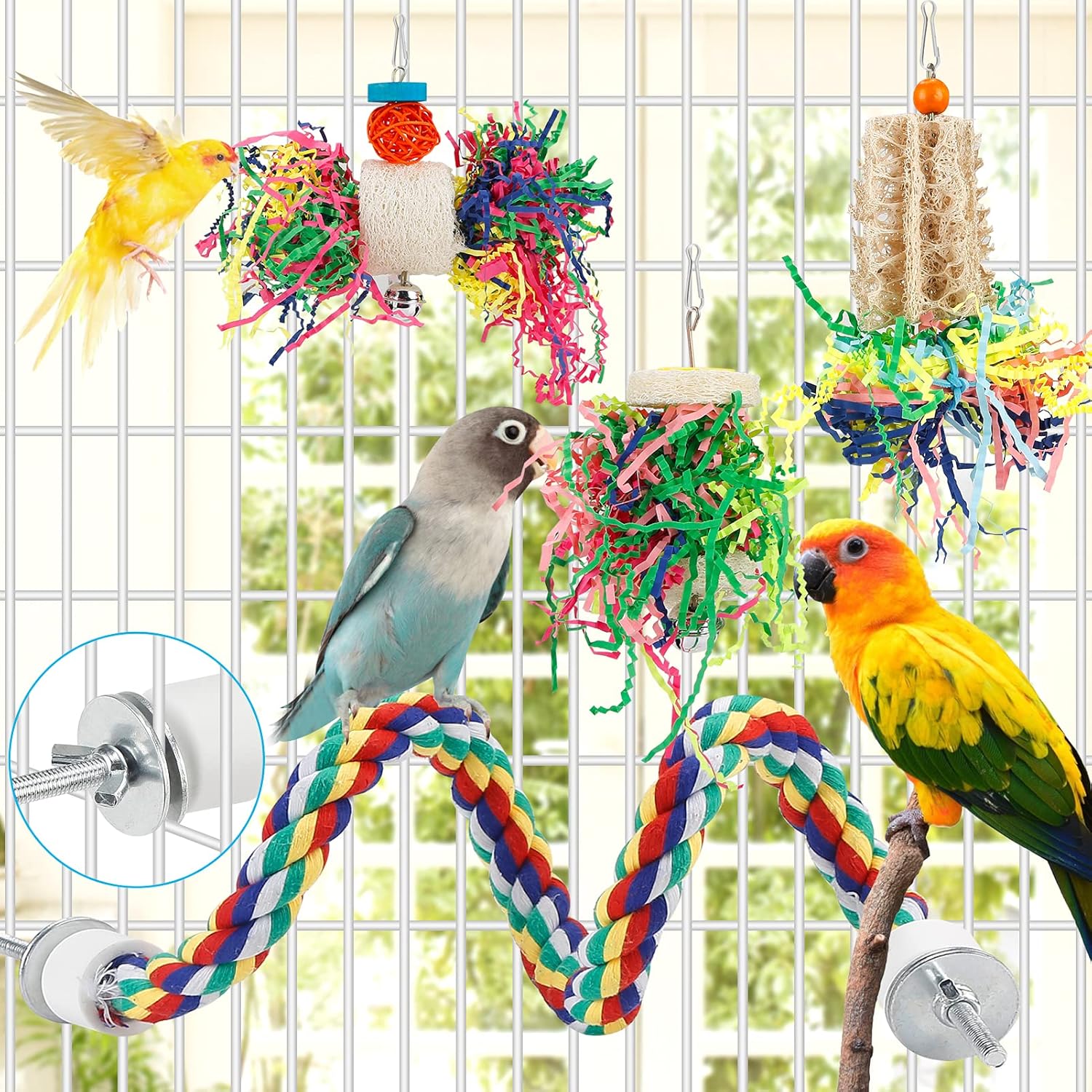 Reviewing Top 3 Parrot Toys: Sola Balls, Kabob, and Shredding Toy