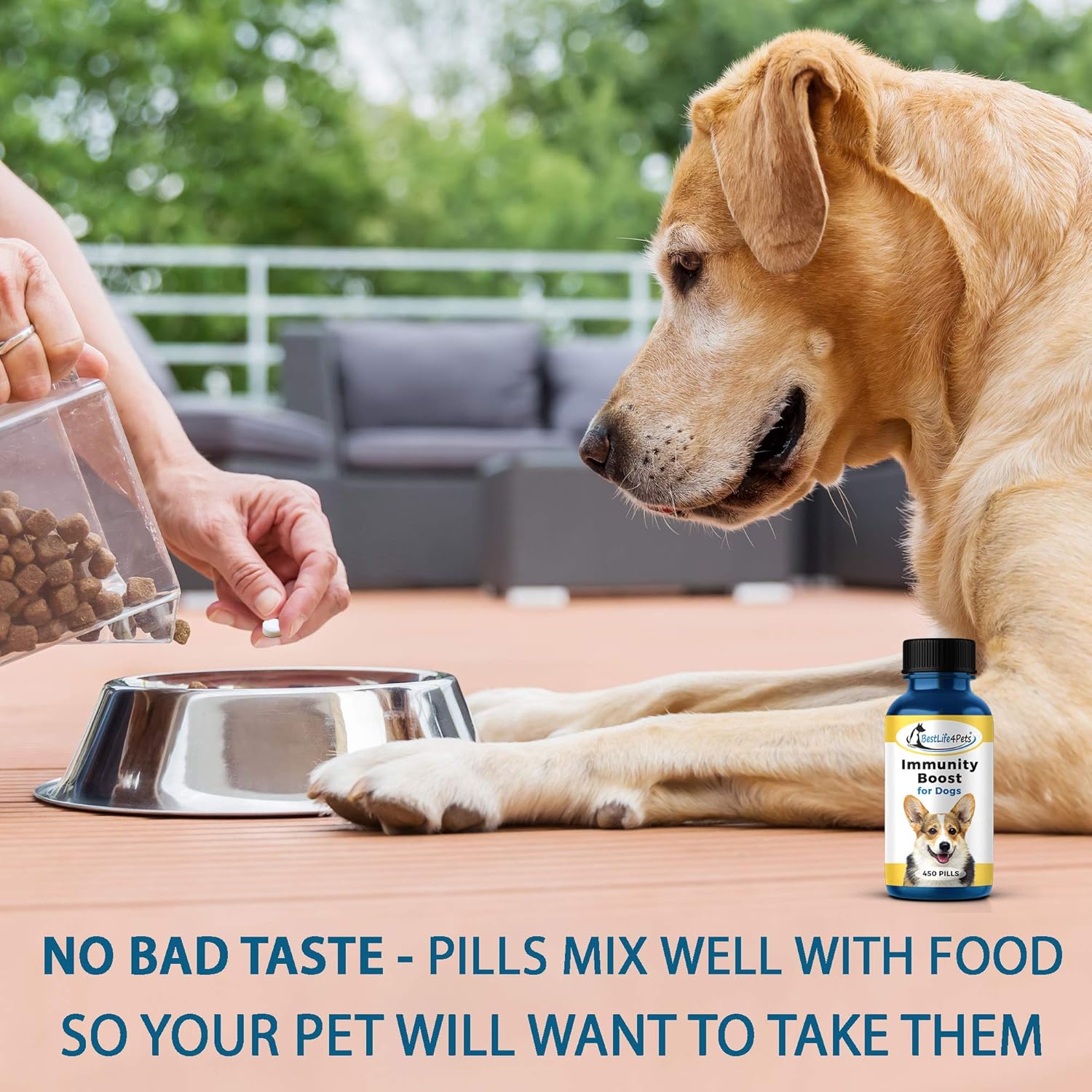 Top 3 Natural Dog Health Supplements: A Comparative Review