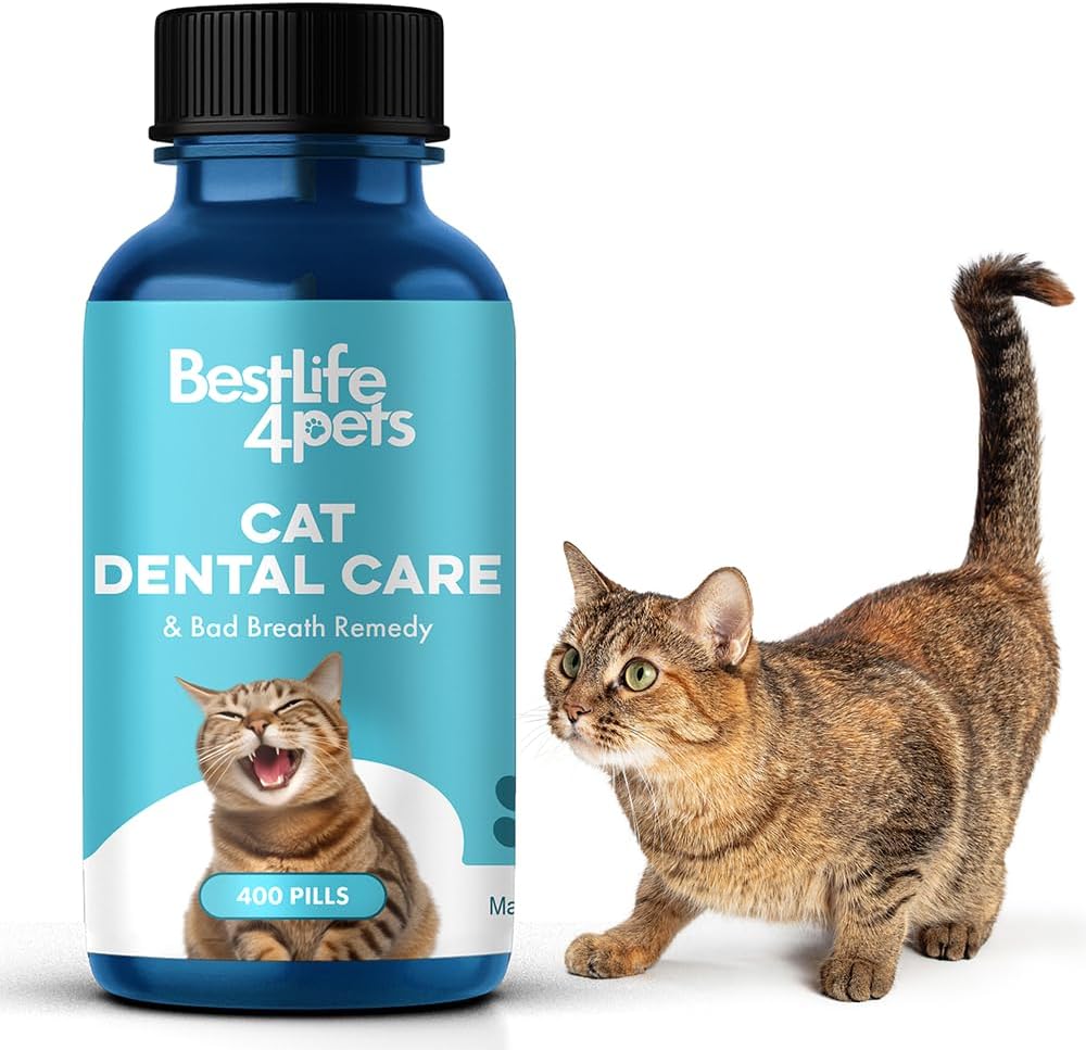 BestLife4Pets Cat Dental Care  Bad Breath Remedy - Natural Oral Health for Cats Gums, Gingivitis and Tooth Pain, Daily Pet Breath Freshener, Tartar and Plaque Remover Treat, Easy To Use Cat Oral Care