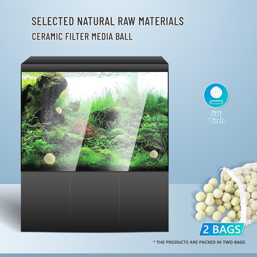 Comparing Top 3 Aquarium Filters: NEZO, Internal, and BIG Kahuna