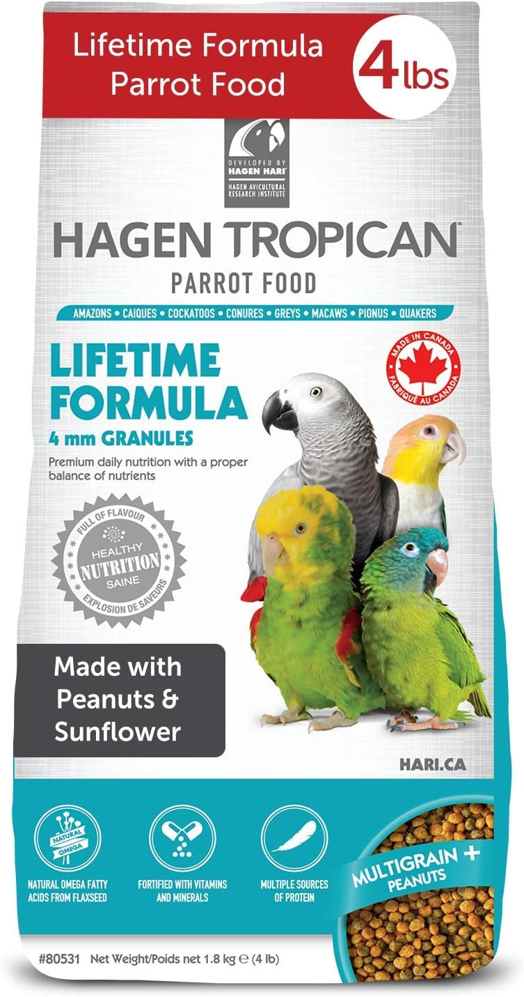 Comparing Top Bird Foods: ZuPreem Pure Fun, Hari Hagen, NutBlend