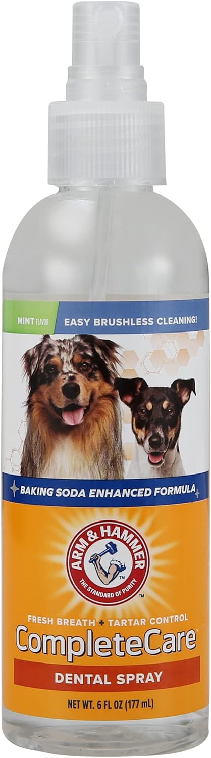 Comparing Top Dental Care Products for Dogs and Cats