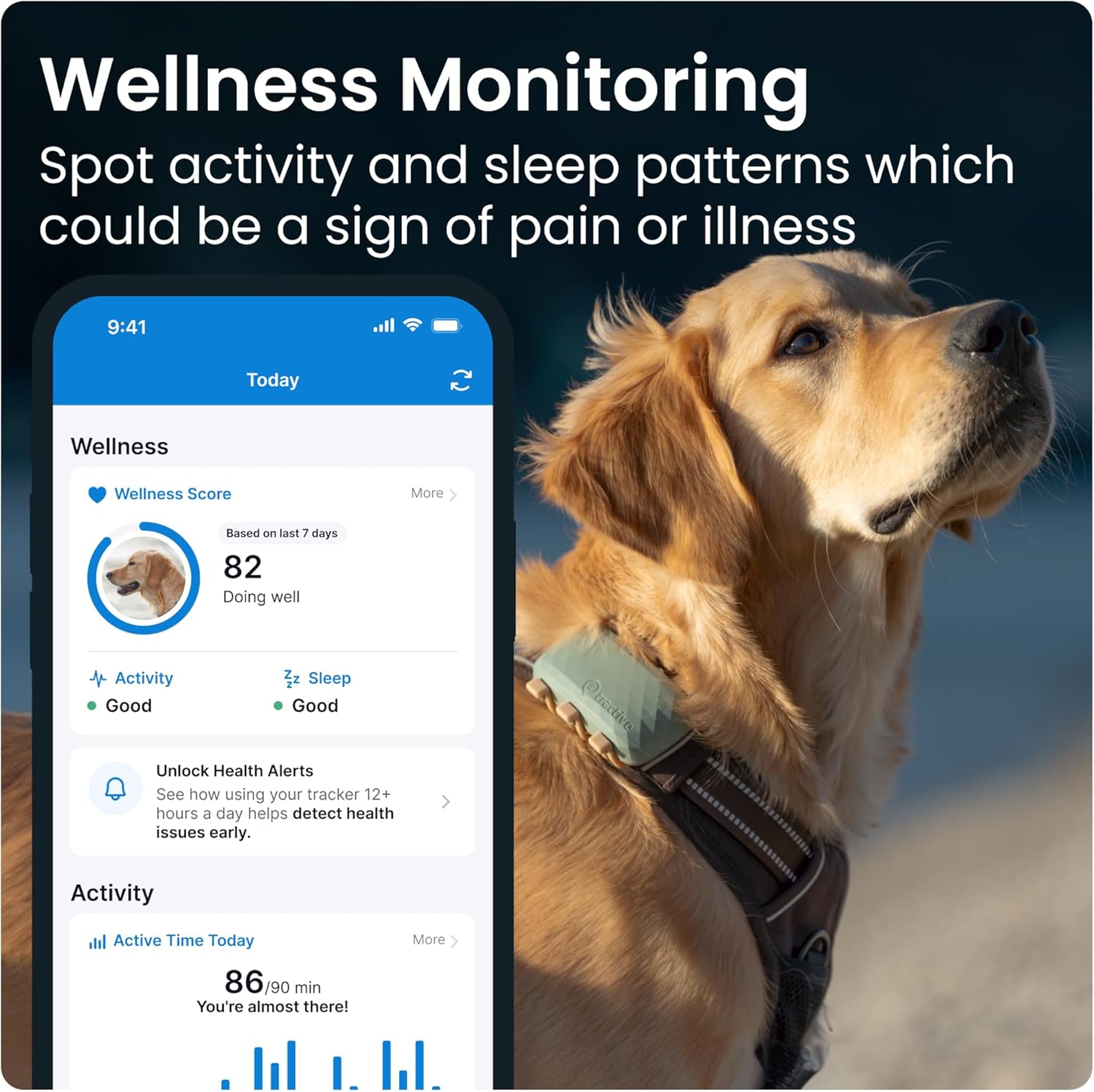 Comparing Tractive GPS Trackers and BEESHOP Bark Collar