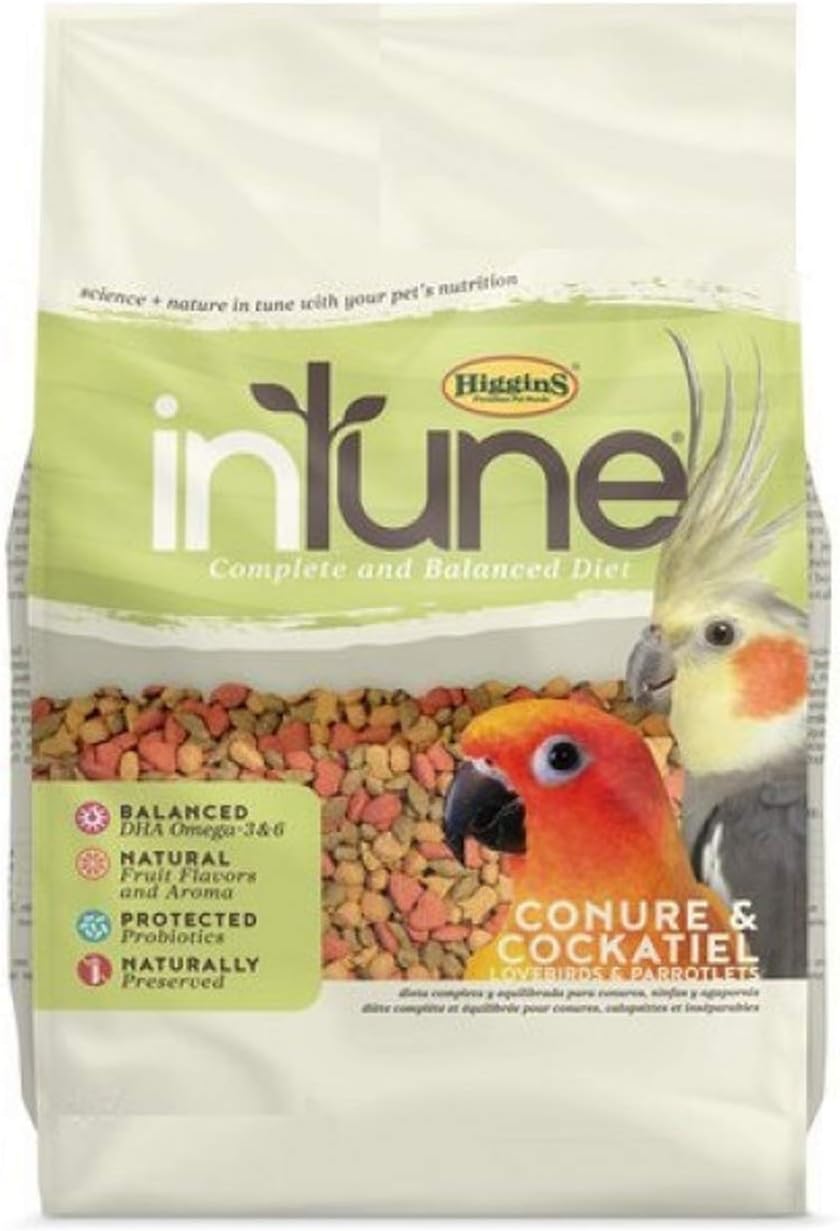 Higgins 466250 Hig Intune Conure Tiel 2Lb, Large