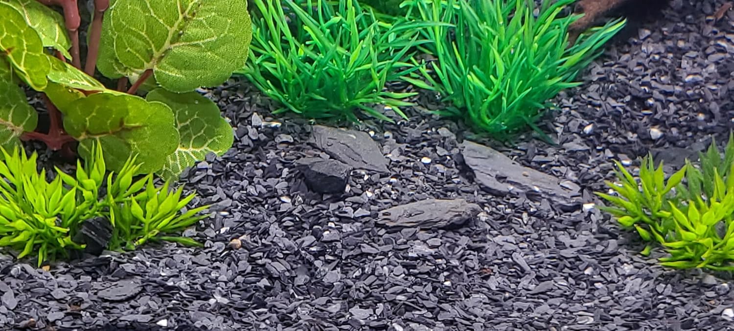 Small World Slate  Stone Aquarium Gravel - Natural Course Sand Substrate for Aquascaping Planted, Freshwater and Saltwater Tanks - Grey - Gravel Size Approx. 1/32 to 1/8 (1 to 3 mm) (6 lbs)