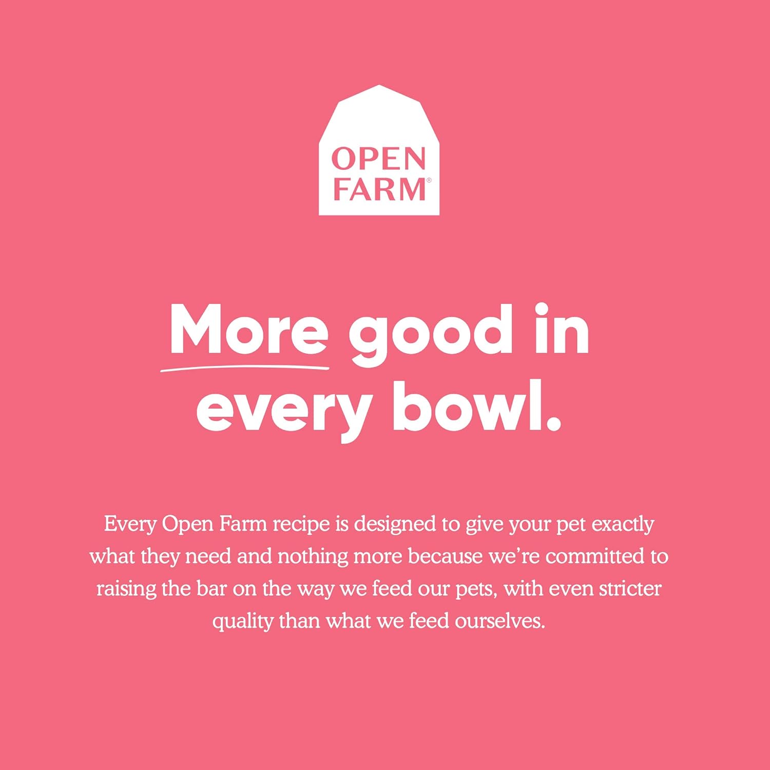 Top Dry Dog Foods Reviewed: Stella & Chewy’s vs Open Farm & ILY