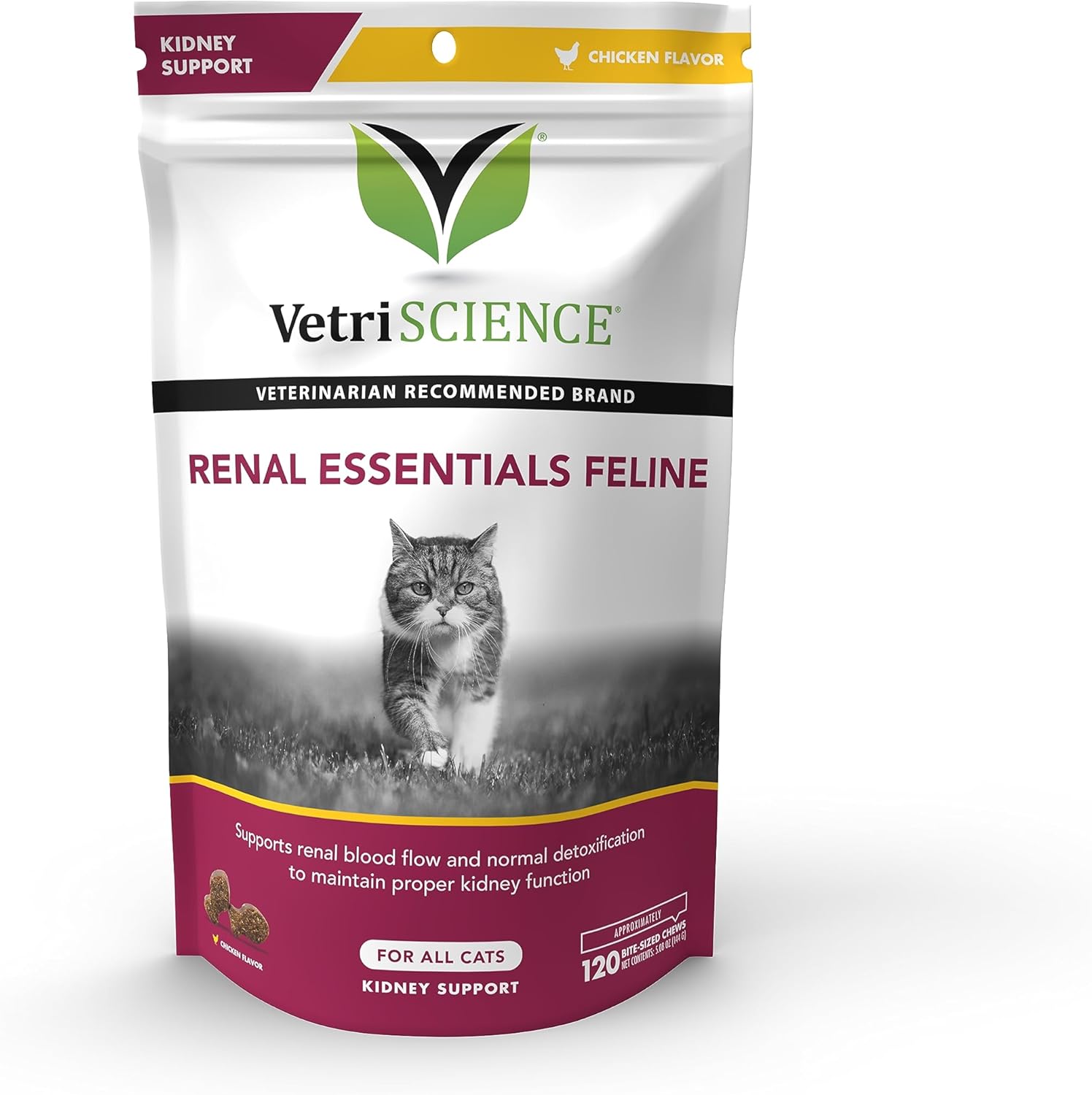 VetriScience Renal Essentials Feline Kidney Supplement for Cats – Kidney and Urinary Tract Support, Cat Kidney Supplement with Astragalus Root, Nettle, Herbs, and Folic Acid