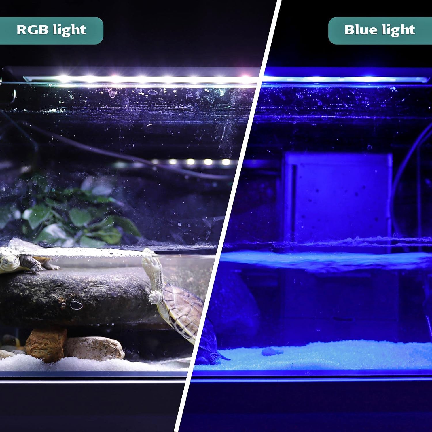 Best LED Aquarium Lights: Hygger vs. Current USA