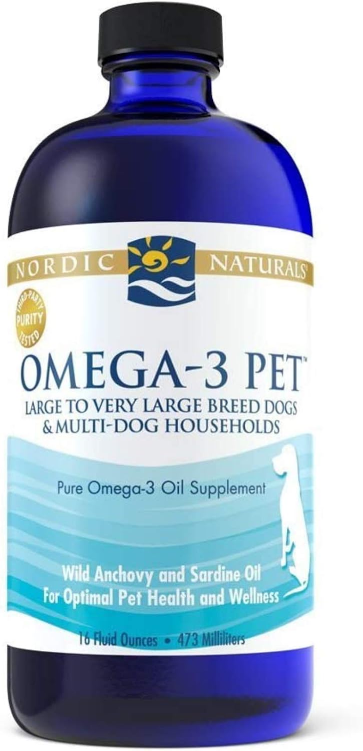 Comparing Top Omega-3 and Immune Supplements for Pets