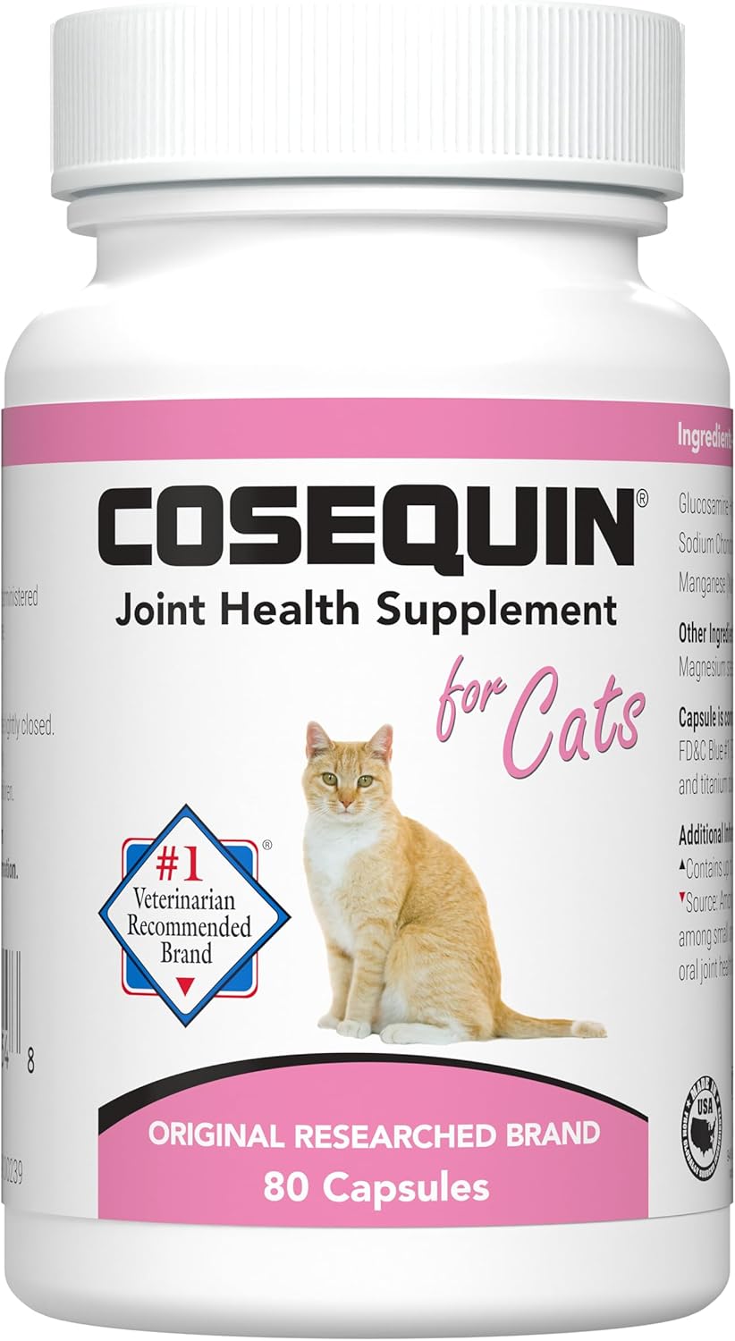 Comparing Top Cat Supplements: Nutramax, Missing Link, Pet Honesty