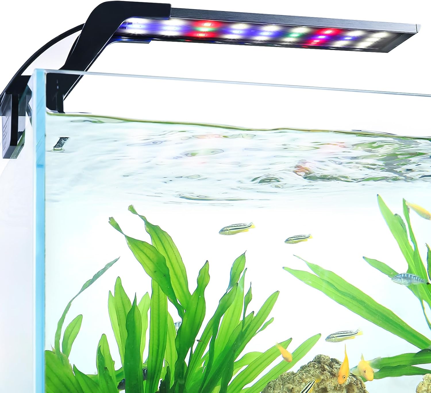 AQQA Aquarium Clip On Light,Fish Tank Full Spectrum LED Light,24/7 Sunrise Sunrise Mode+10 Adjustable Brightness Levels+Detachable Bracket+RGB LEDs + USB and Adapter,for Freshwater (8W)