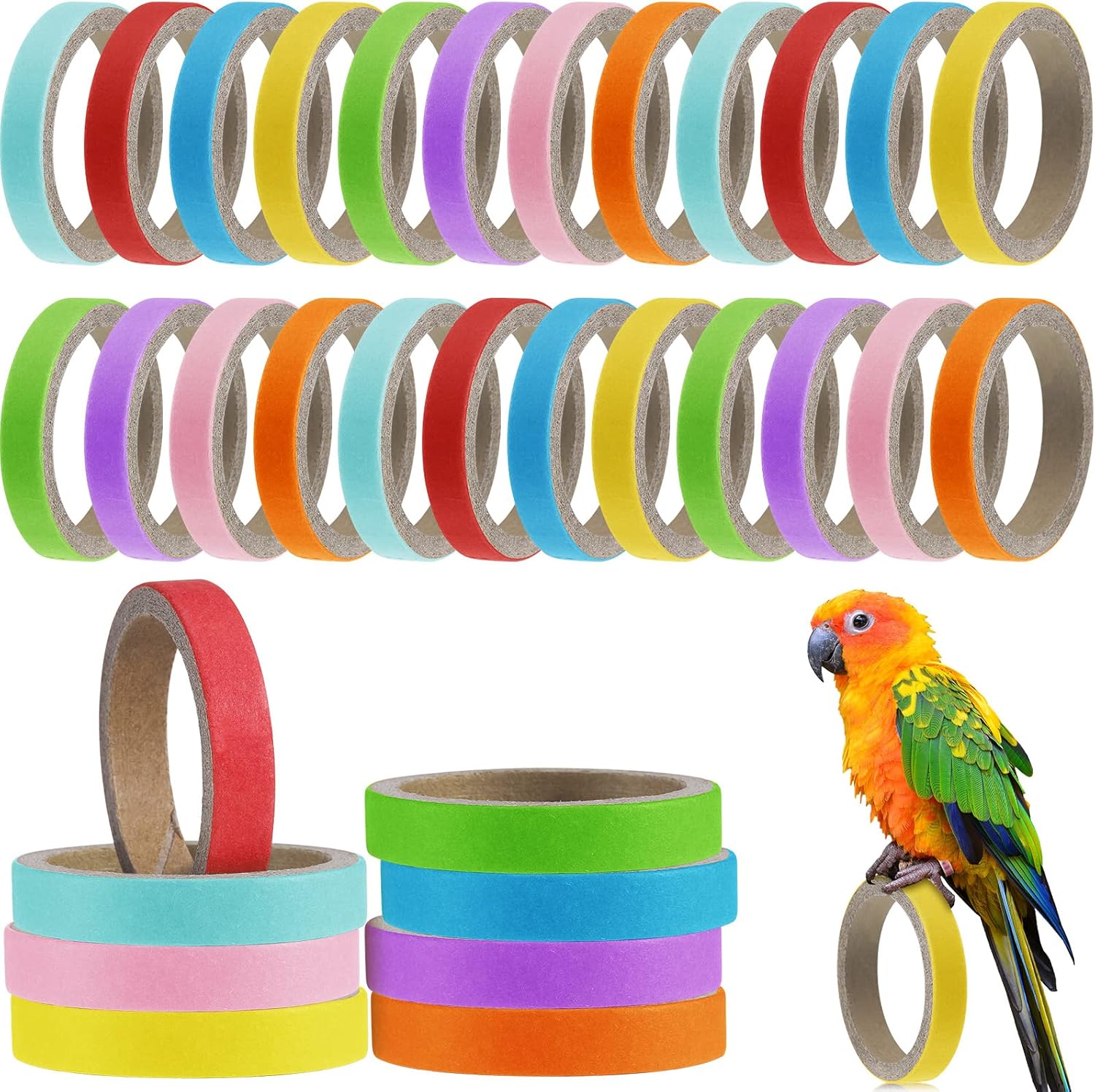 Colorful Curiosities: Comparing Three Parrot Toys