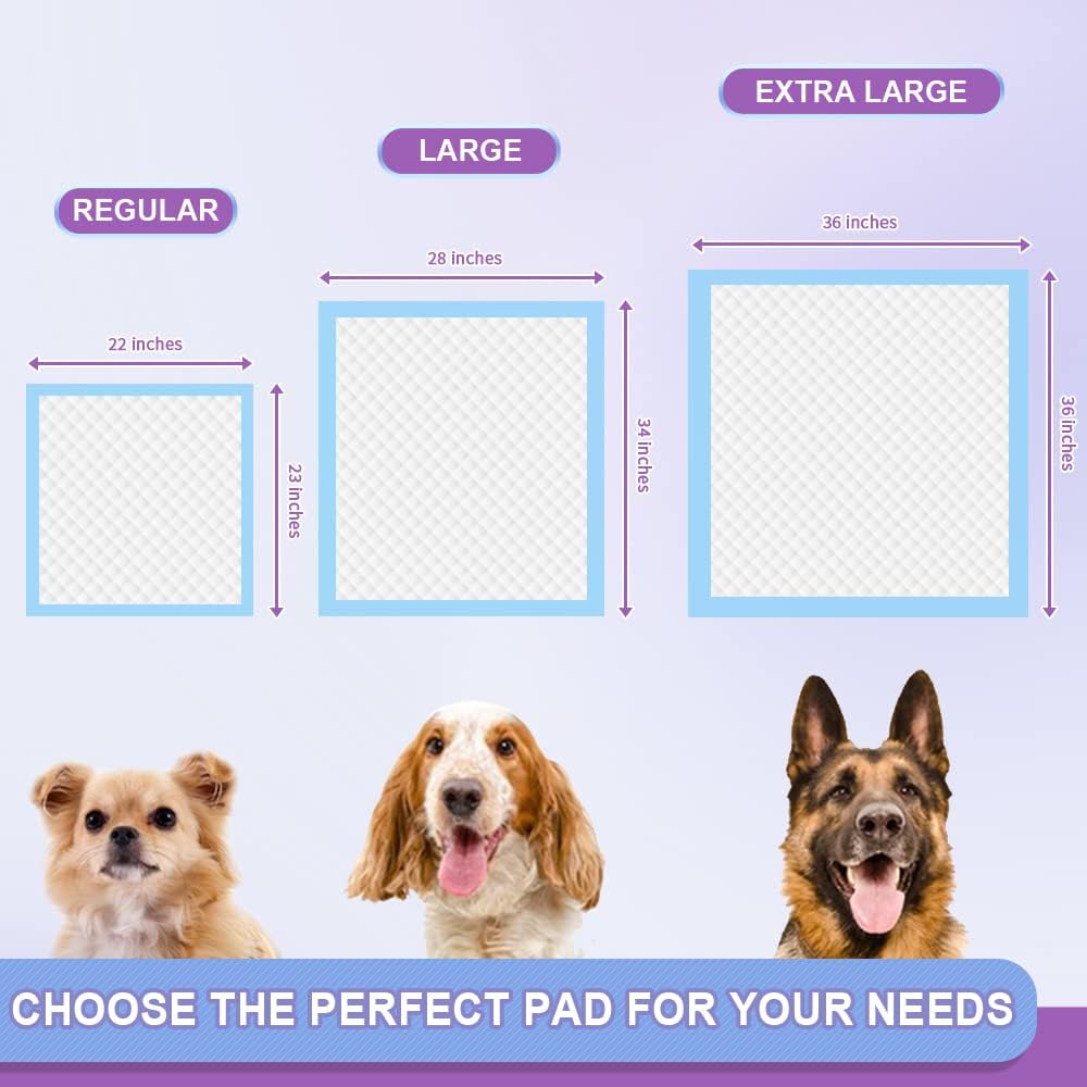 Comparing Absorbency: Washable vs. Disposable Pee Pads