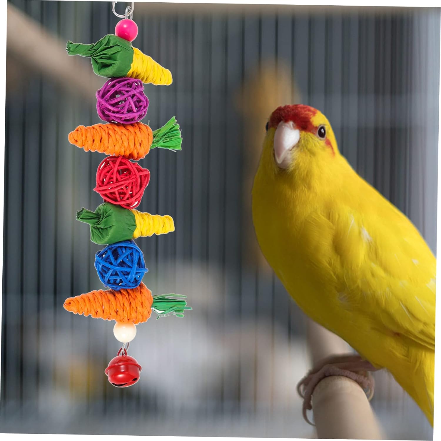 Comparing Top Bird Toys: Super Bird, FRCOLOR & KATUMO