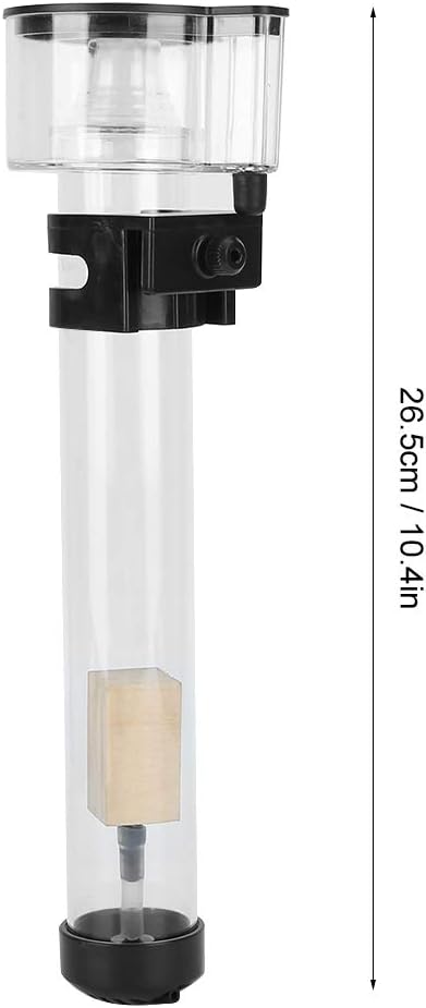 Comparing Top Mini Protein Skimmers for Saltwater Tanks