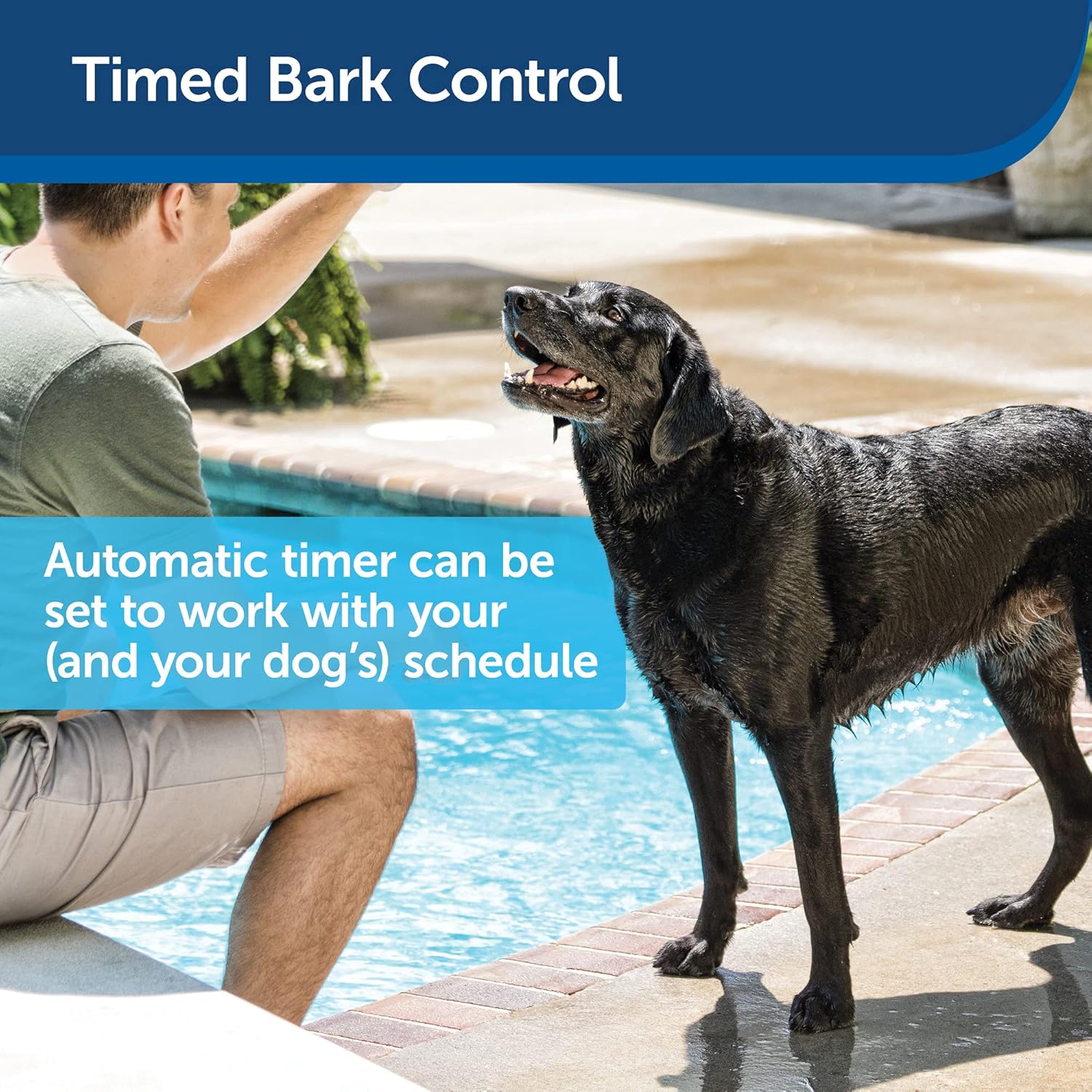 PetSafe Outdoor Ultrasonic Bark Control - Viral on TikTok - No Barking Deterrent for All Dog Sizes - Up to 1/4 Acre Coverage - Weatherproof - Great for Backyards - Bird House Design