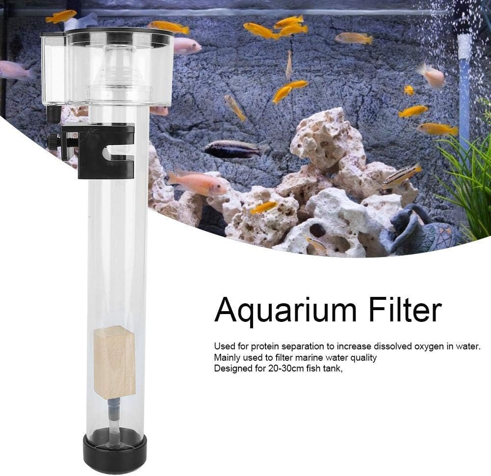 Protein Skimmer Aquarium Filters Acrylic Fish Tank Filter Separator with IQ5 Aquarium Filter Accessory