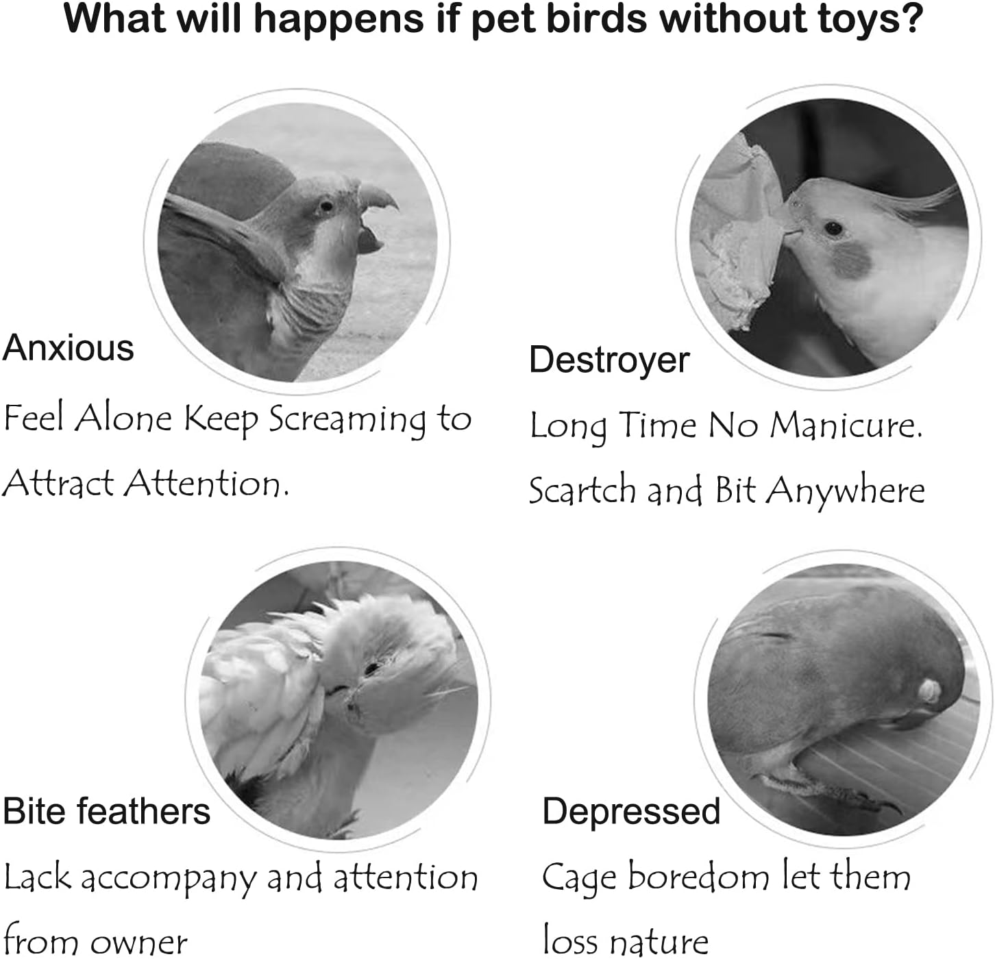 Top Bird Toys: Comparing the Best for Parrots and More