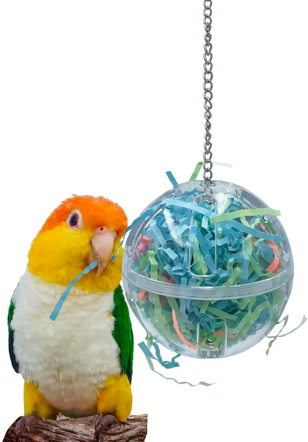 3 Hanging Plastic Forager Ball Toy to Unscrew with shredding Paper Inside for Medium and Large Parrot