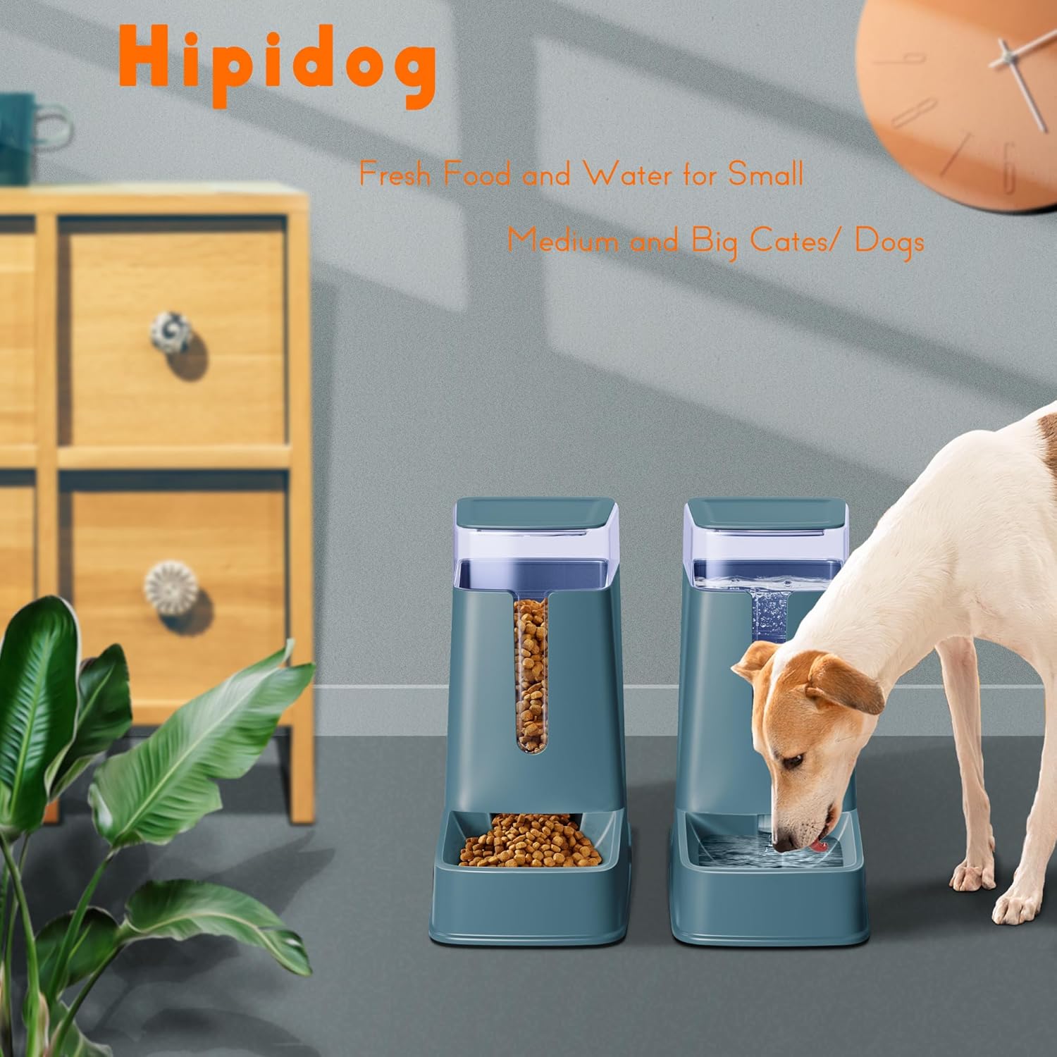 A Comparative Review of Three Automatic Pet Feeders