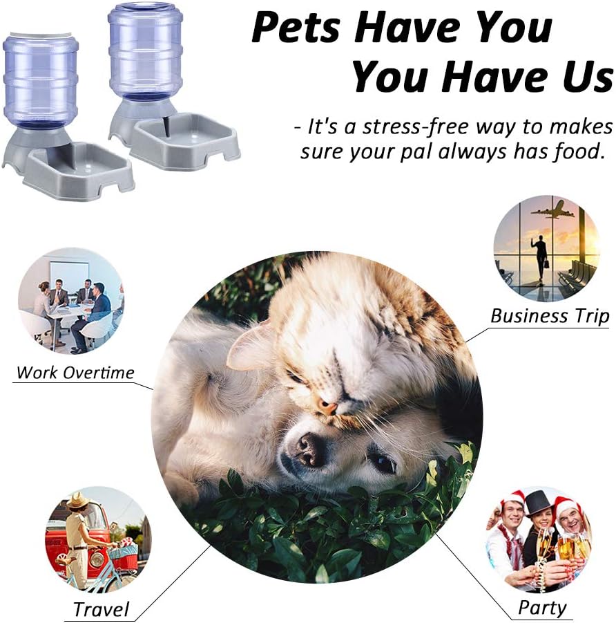 A Review of Three Top Automatic Pet Feeders and Waterers