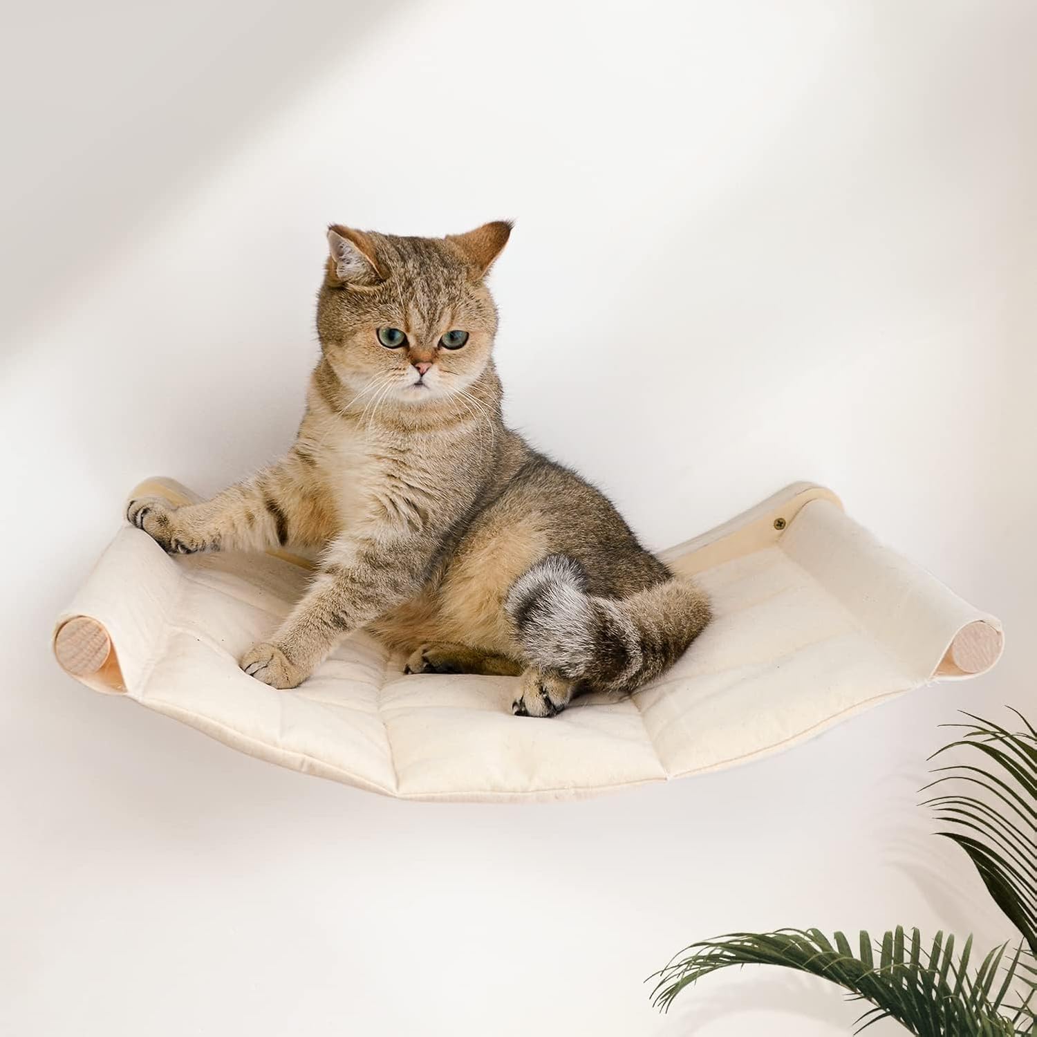 Comparing Cat Wall Furniture: Top 3 Picks Reviewed