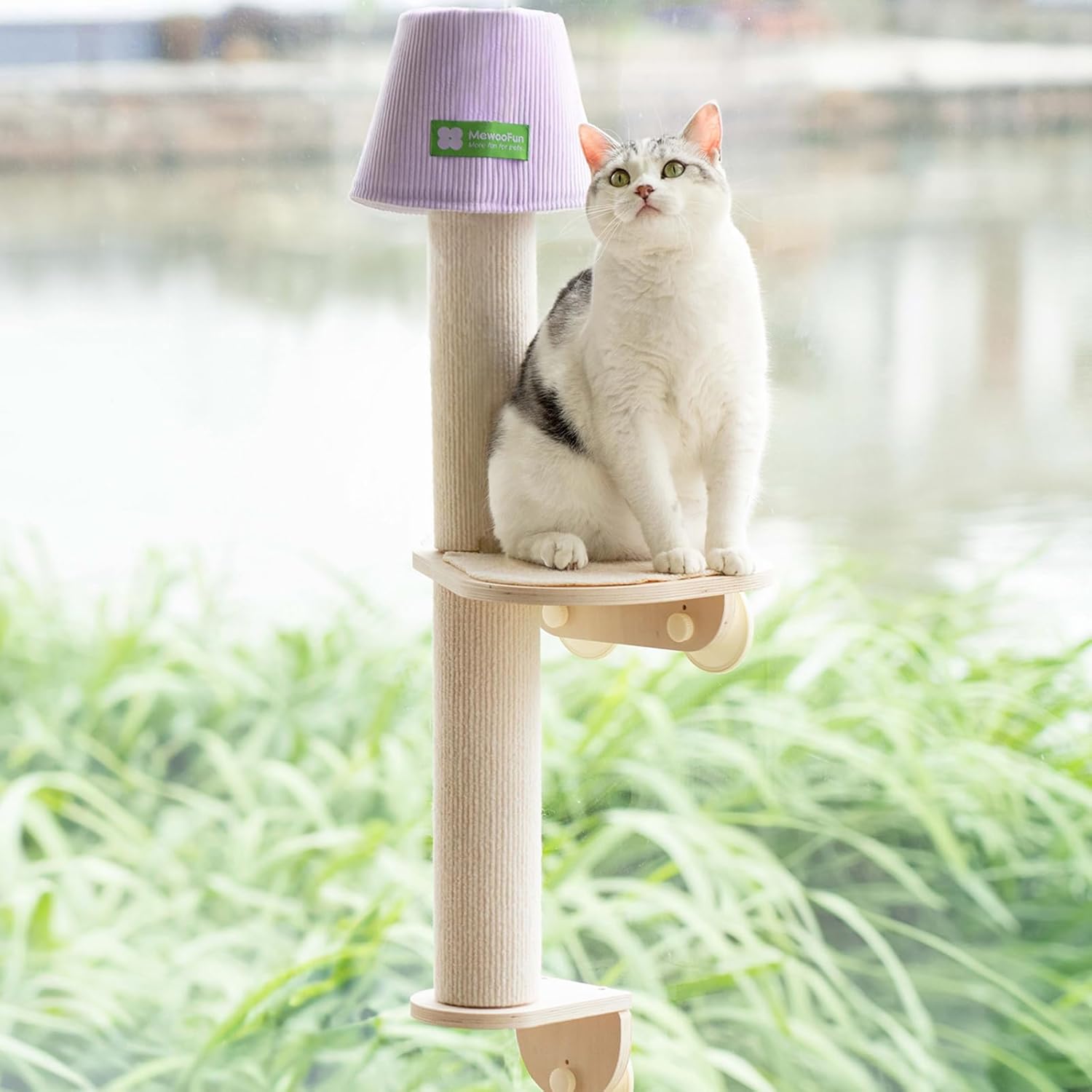 Cat Window Perch Hammock Bed with Scratching Post and Climbing Steps,Wooden Cat Perch Window for Indoor Cats and Kittens