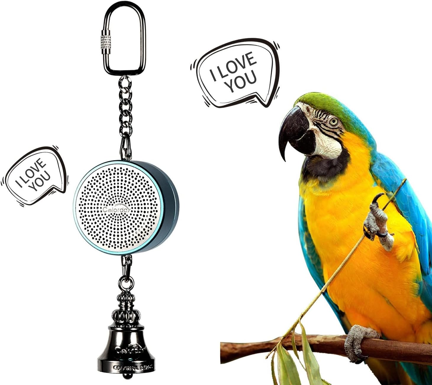 Colorday Bird Toys Parrot Talking Coach  Interactive Voice Bell for Parakeet, African Grey, Amazon Parrots, Quaker, Cockatiel, Conure (Blue)