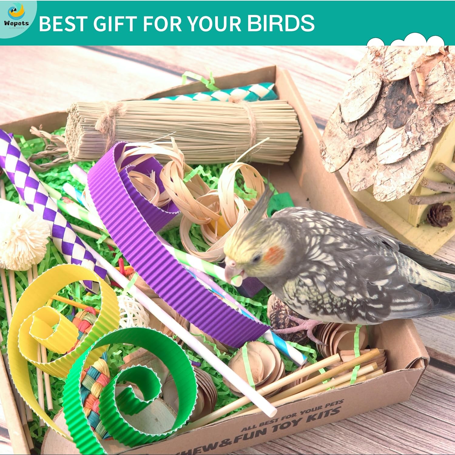 Comparing Bird Toys: Variety Box vs. Bonka’s Sola & Crumbles