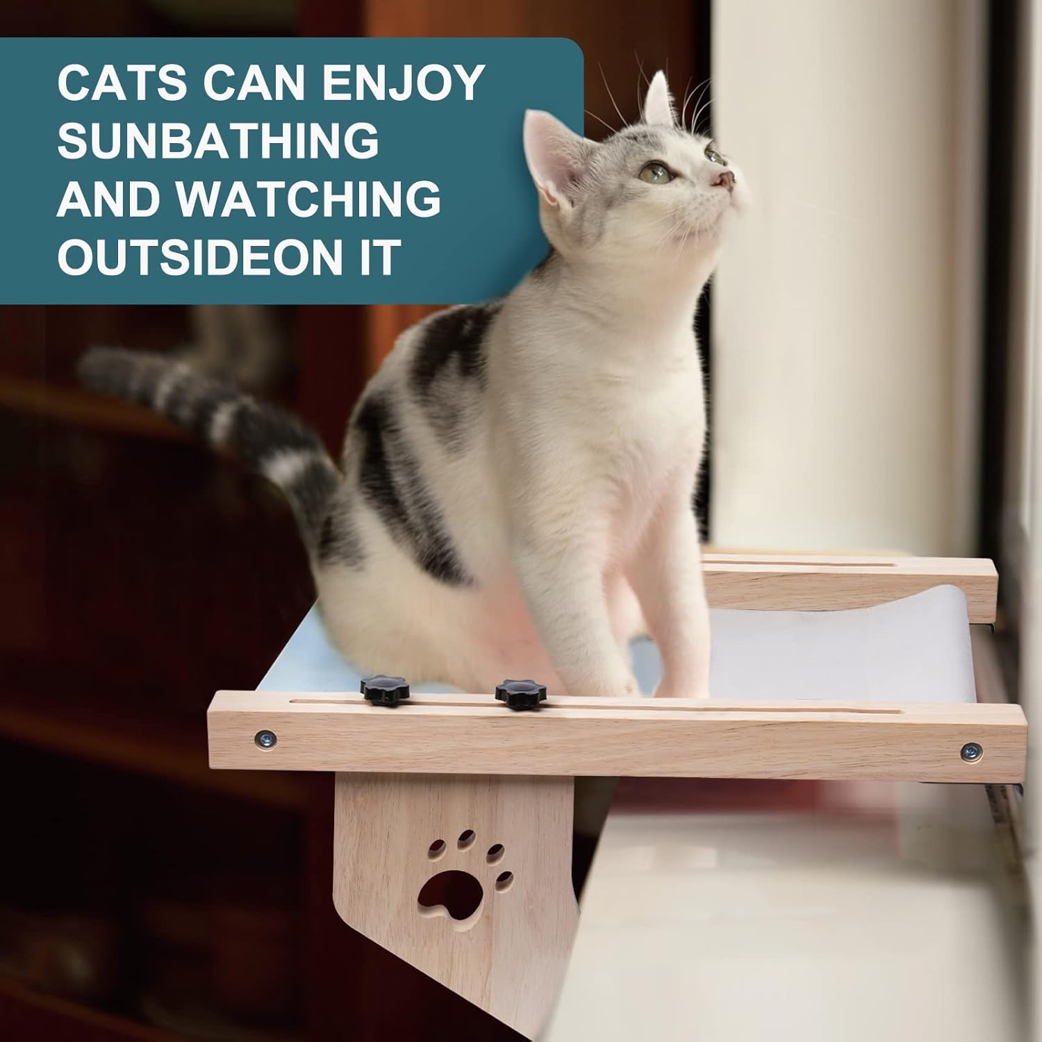 **Comparing Cat Window Perches: Versatility and Durability**