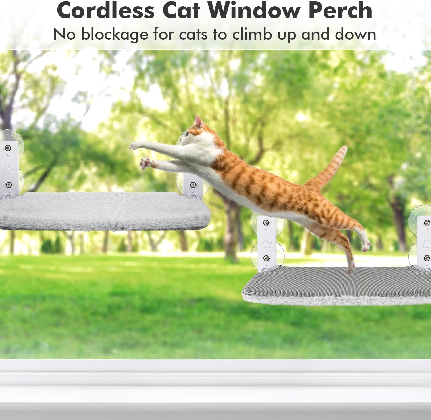 Comparing Cozy Cat Window Perches: Which One Reigns Supreme?