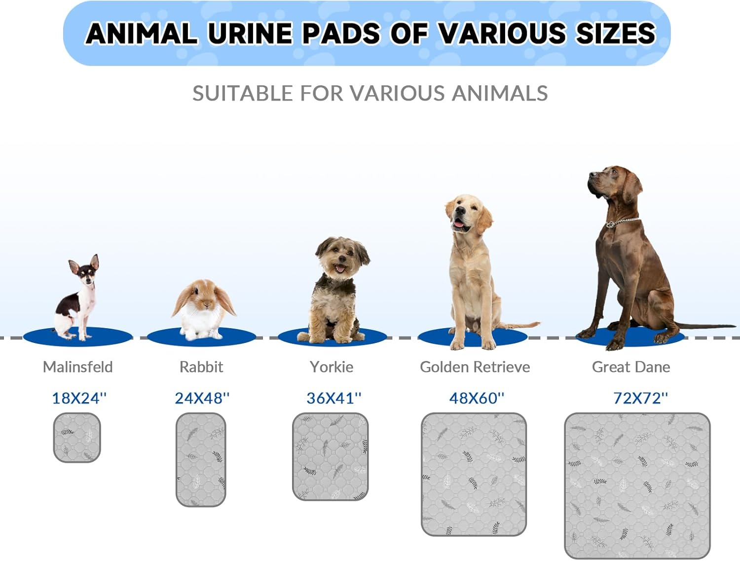 Comparing the Best Dog Pee Pads: Washable vs Disposable