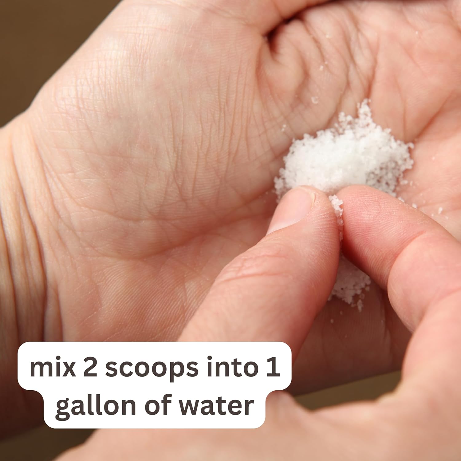 Comparing the Top Three Sea Salt Mixes for Your Aquarium