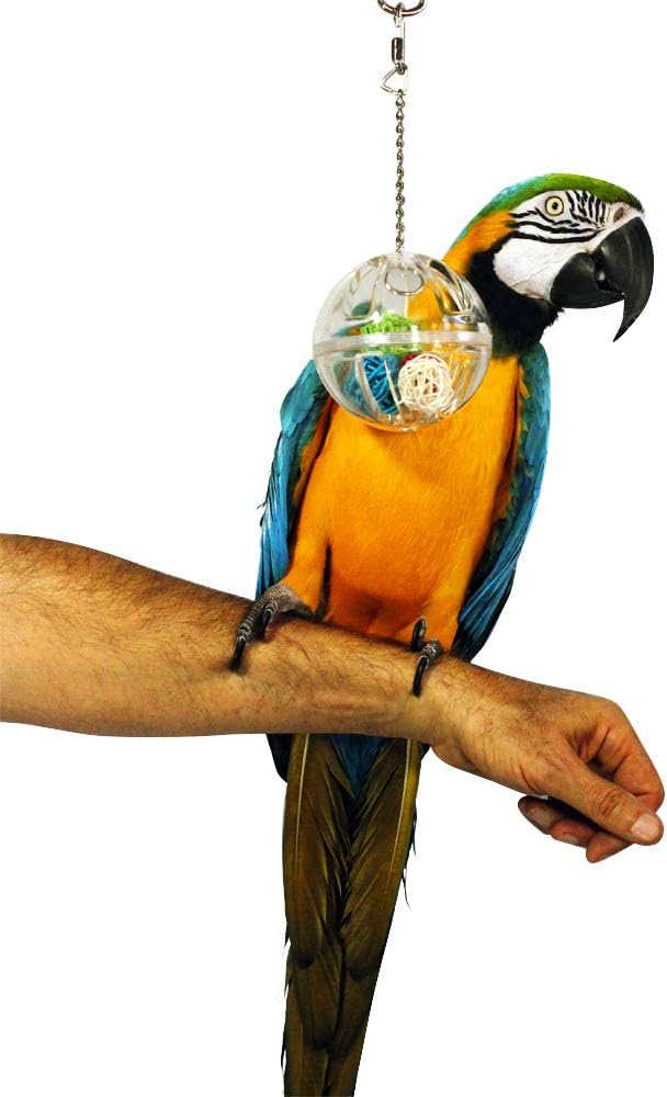 Comparing Three Bird Toys: Bamboo, Acrylic, and Kabob