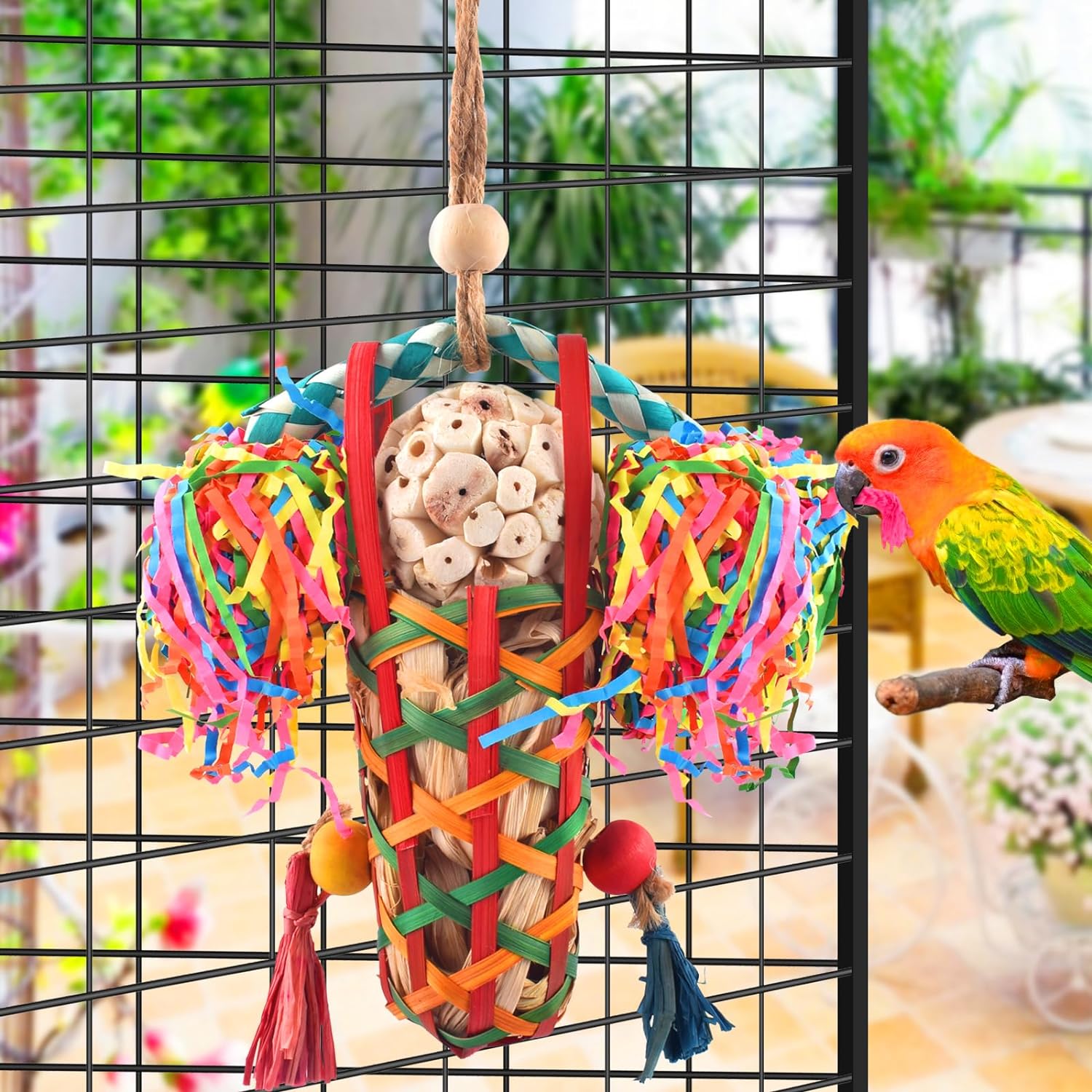 Comparing Top Bird Toys: Platforms, Foragers, and Sola Fun