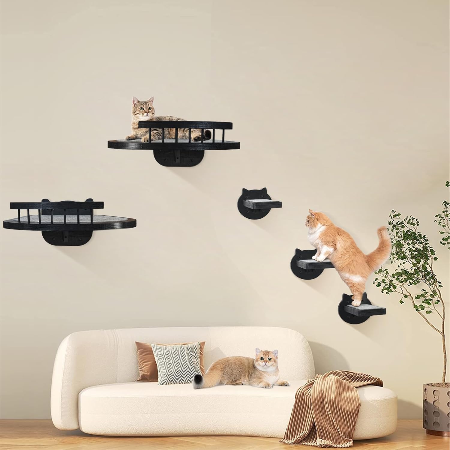 Comparing Top Cat Wall Shelves: Features and Design Insights