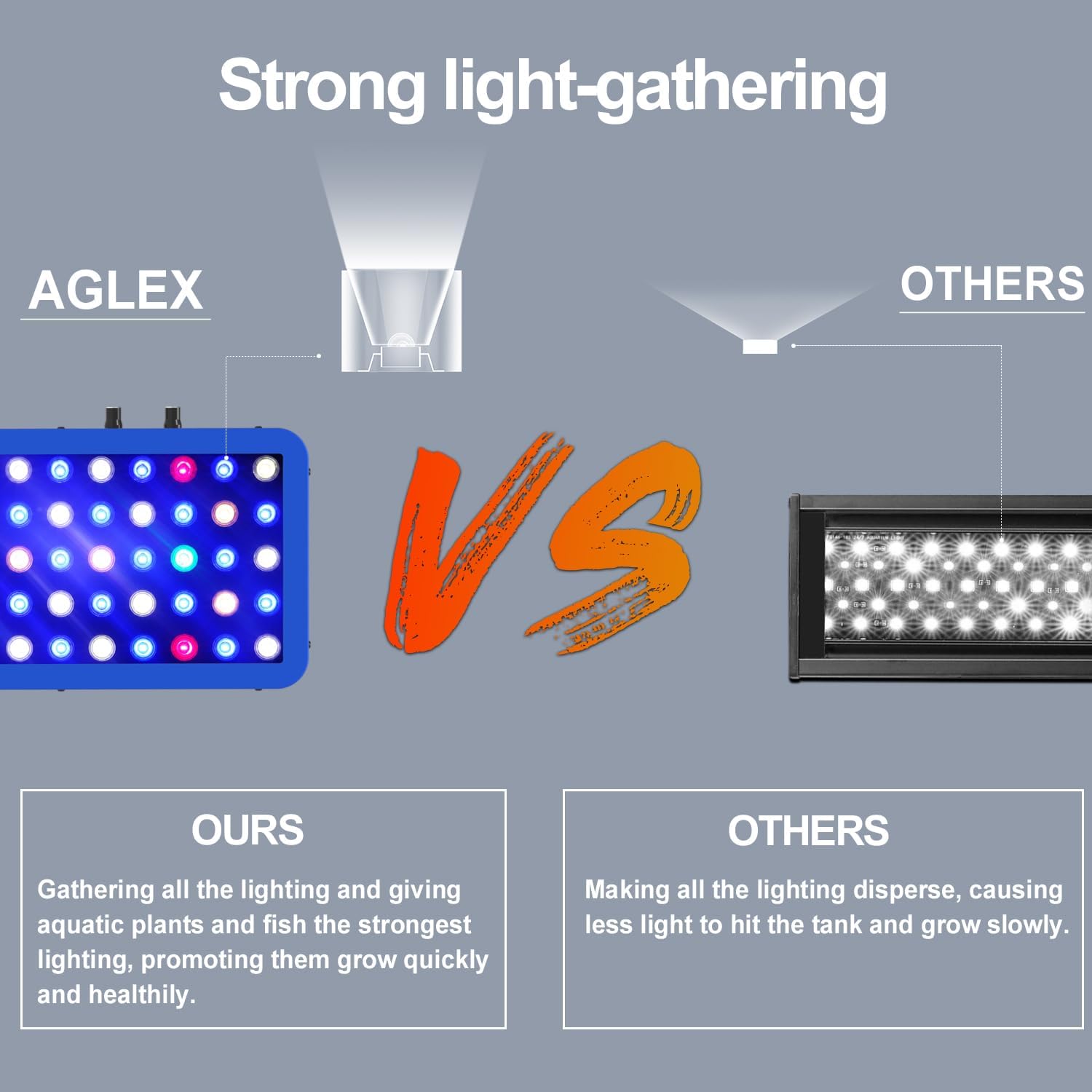 Comparing Top LED Aquarium Lights: AGLEX vs. Lominie