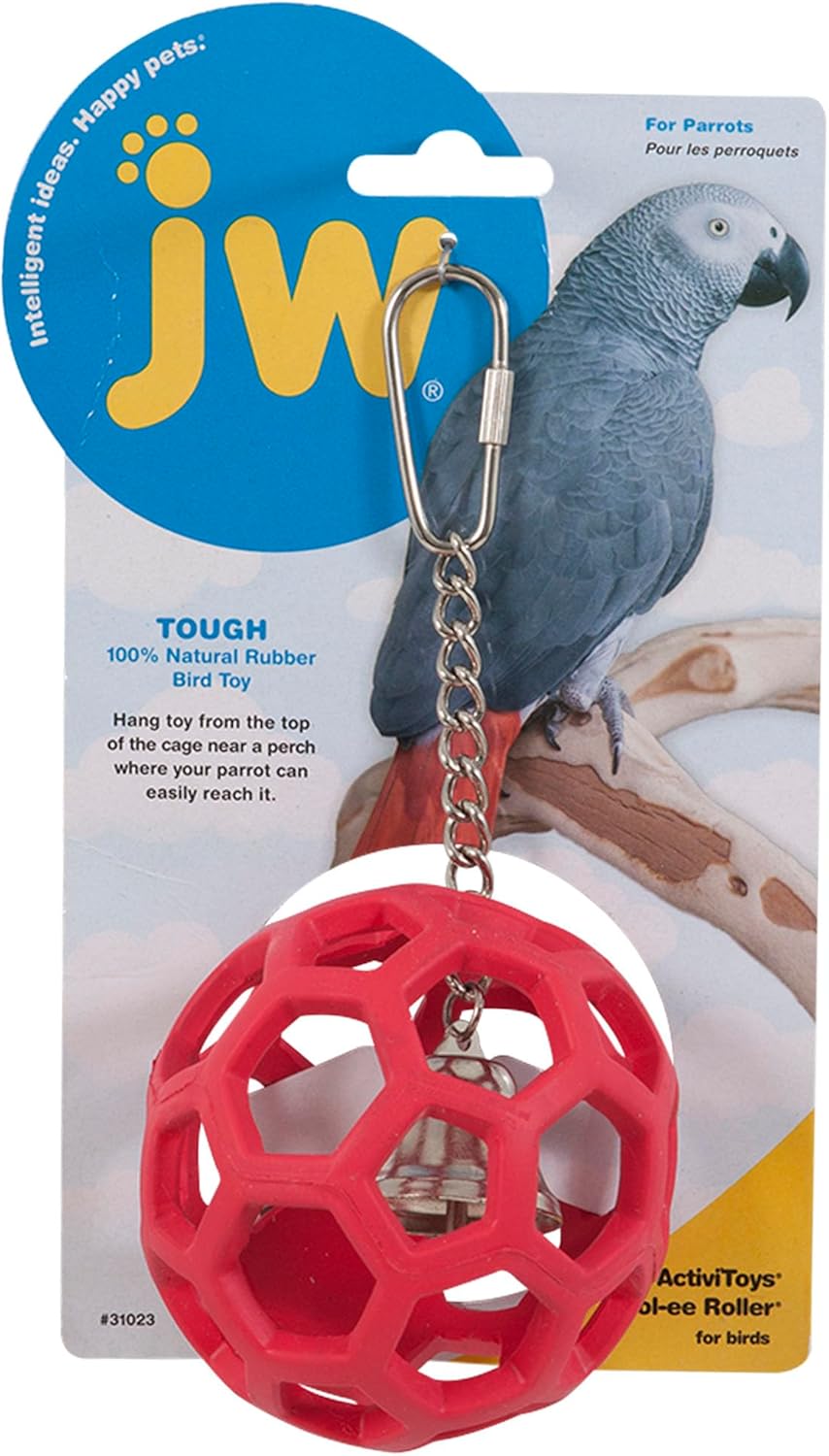 Comparing Top Parrot Toys: Hol-ee Roller vs. Bird Rope Perch