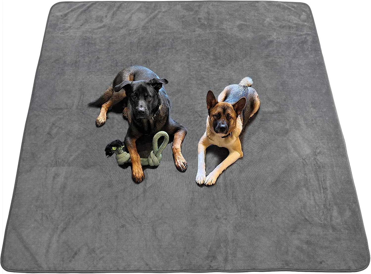 Dog Pee Pad Washable Extra Large, Instant Absorb Thicker Training Pads Non-Slip Pet Playpen Mat, Waterproof Reusable Floor Mat Ideal for Puppy Senior Dog Whelping Incontinence Housebreaking 65x48 Inch