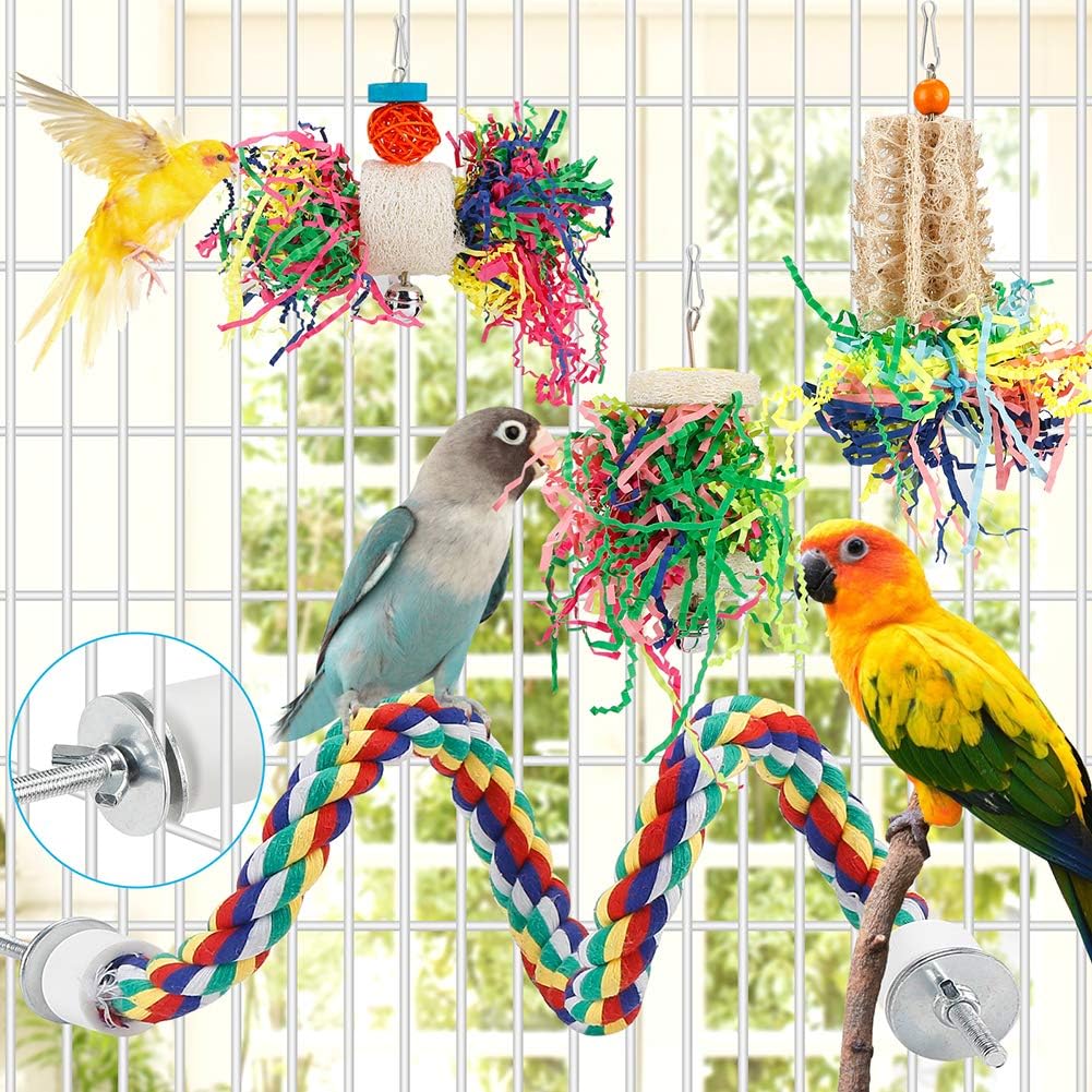 Exploring the Best Bird Foraging Toys: A Comparative Review