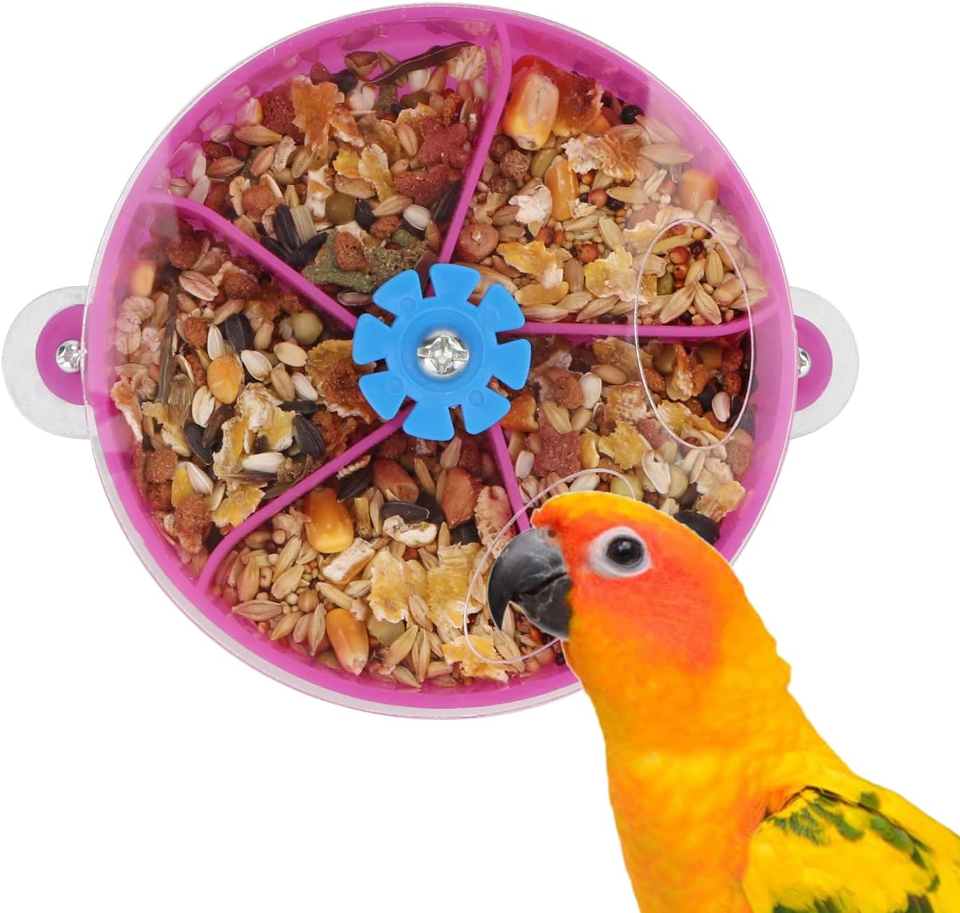 Hypeety Bird Parrot Foraging Toy Creative Seed Food Ball Rotate Wheel Intelligence Growth Training Toy for Parrot Parakeet Cockatiel Conure Lovebird