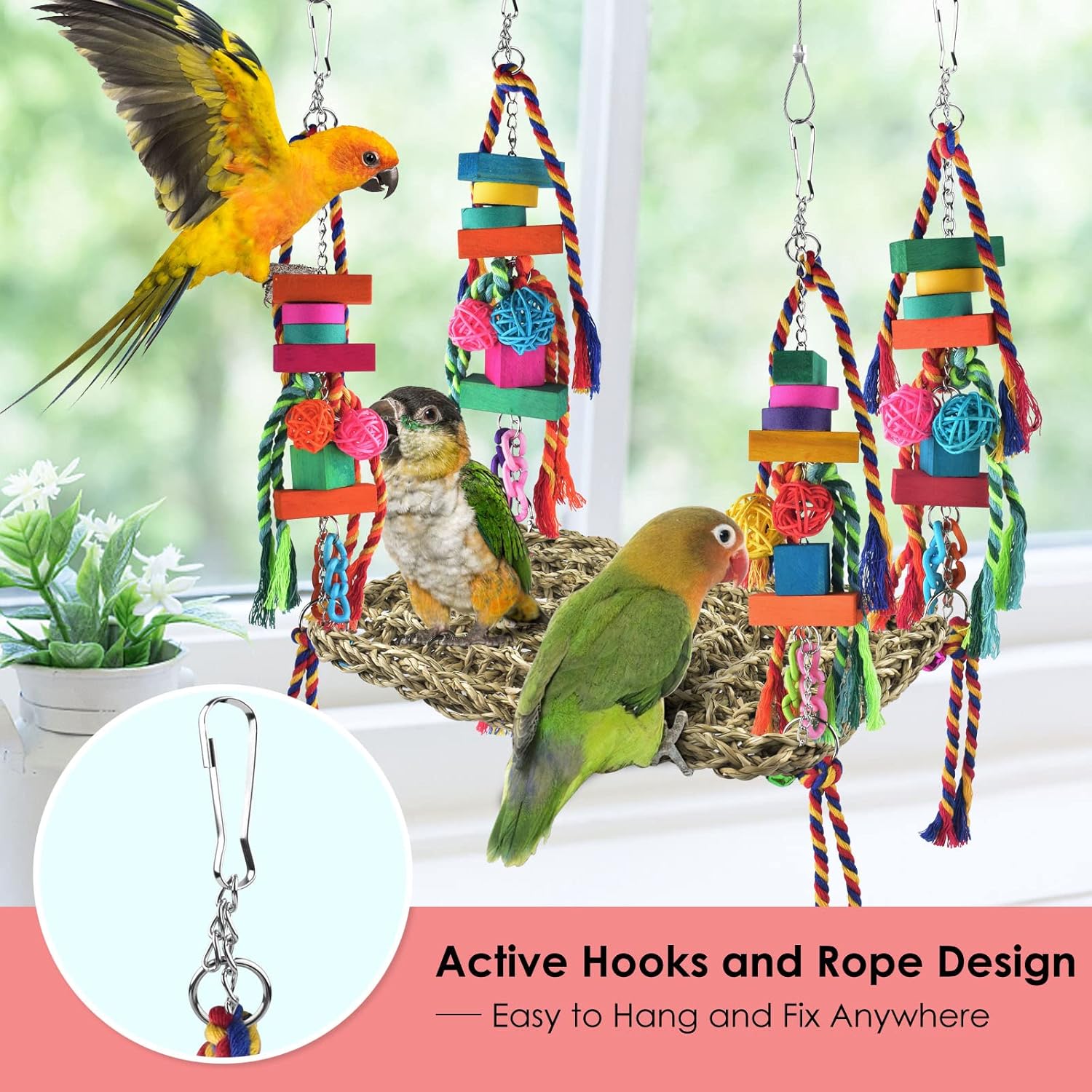 Parrot Playtime: A Review of Three Engaging Bird Toys