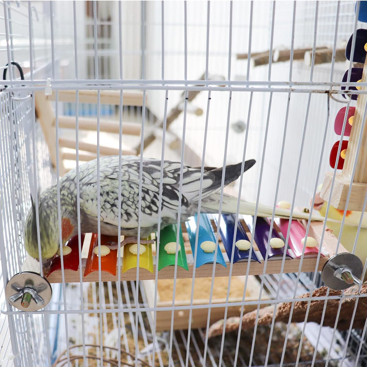 Review: Delightful Bird Toys to Entertain Your Feathered Friends