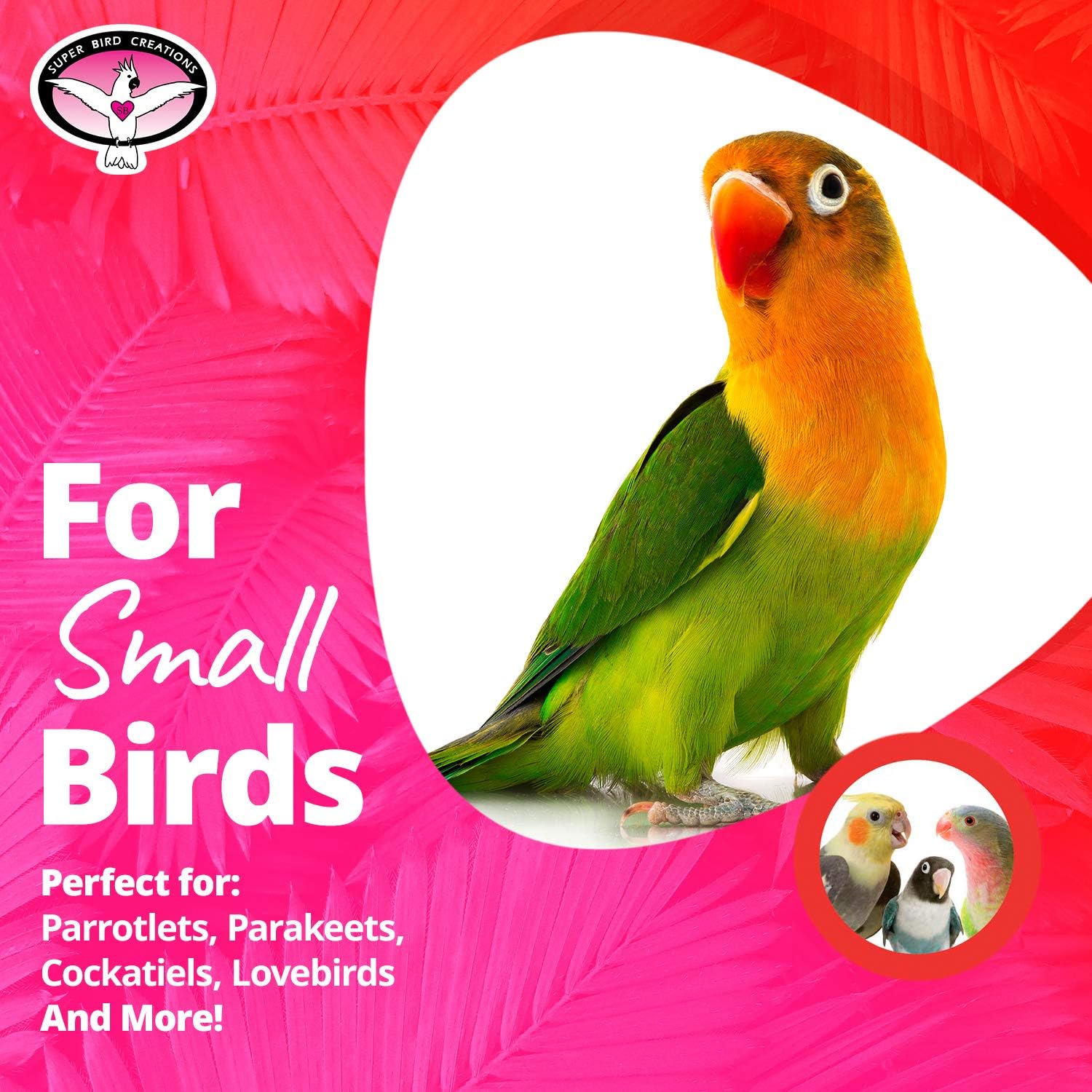 Review: Engaging Toys for Budding Bird Enthusiasts