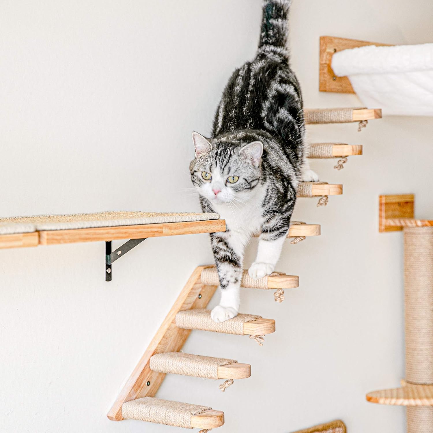 Review: FUKUMARU Wall-Mounted Cat Climbing Shelf